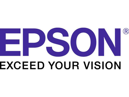 Nastro Epson nero C13S015610