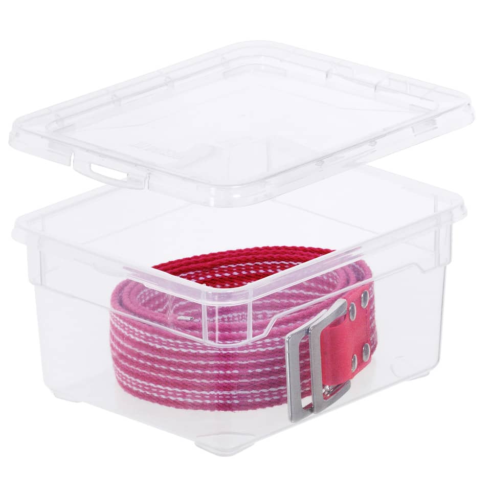 Contenitore Rotho Clear Box in PPL 2 L impilabile 19x16x9 cm trasparente F707800
