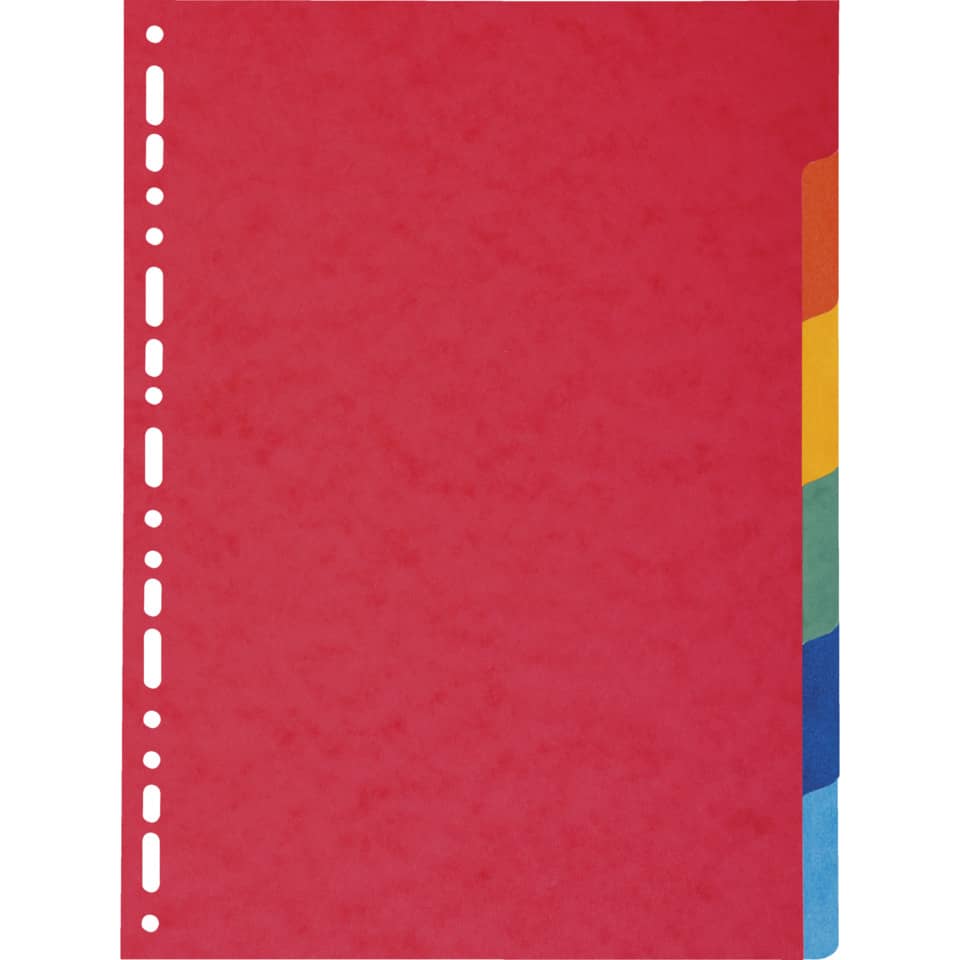 Intercalari in carta Exacompta 6 tasti colori vivaci cartoncino riciclato A4 220 g/mq - 2006E