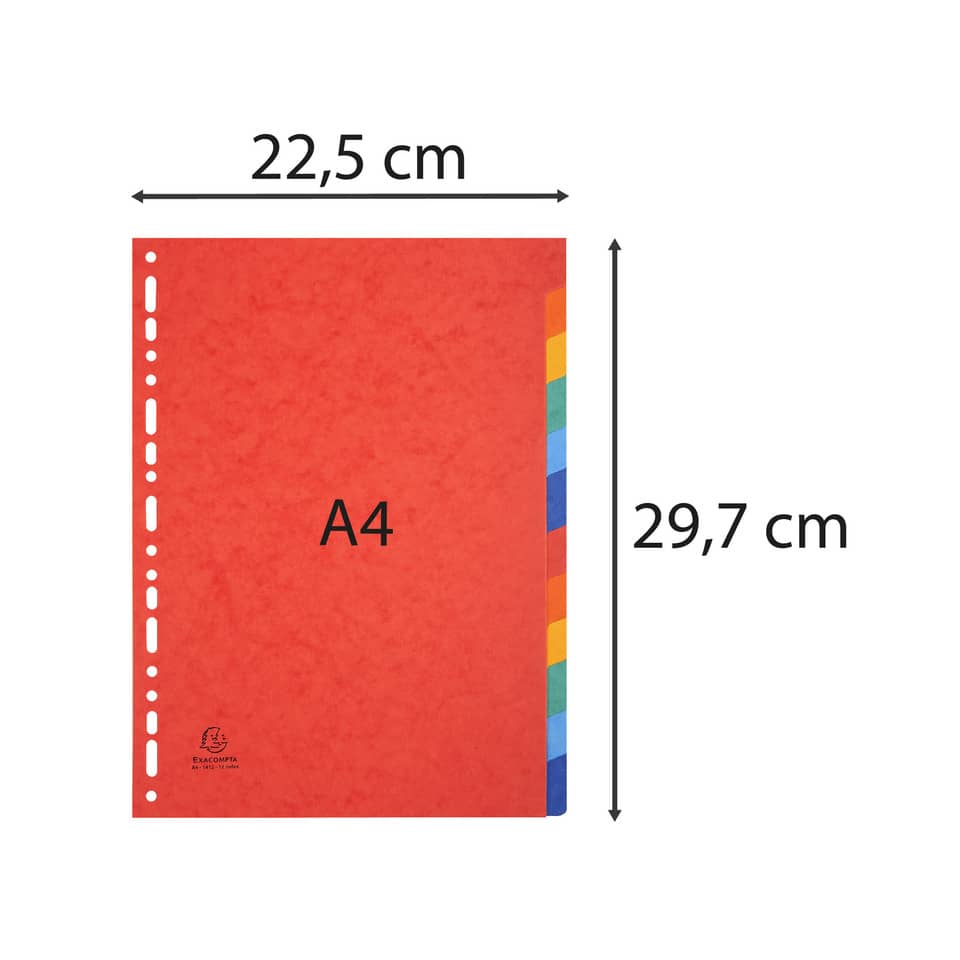 Intercalari in carta Exacompta NATURE FUTURE assortiti carta lustré A4 225 g/m² 12 tasti - 1412E
