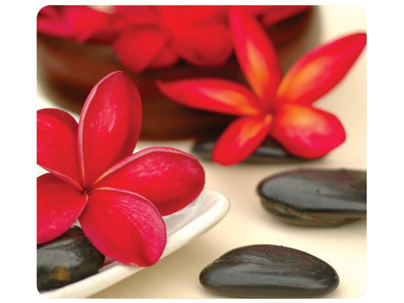 Tappetino mouse Fellowes Earth Series 20,32 x 22,86 x 0,16 cm fiori - 5904601