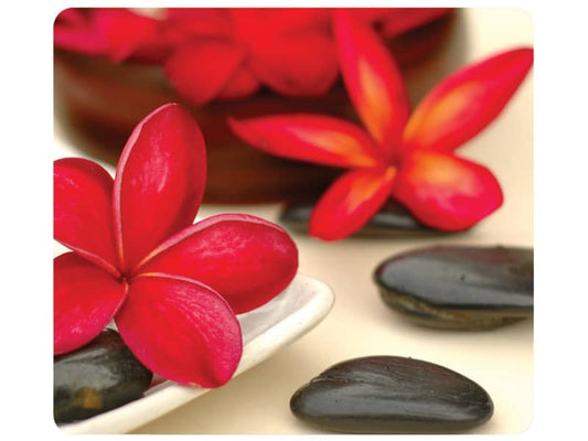 Tappetino mouse Fellowes Earth Series 20,32 x 22,86 x 0,16 cm fiori - 5904601