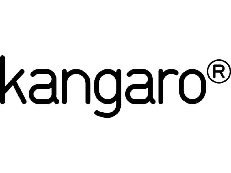 Cucitrice a braccio lungo Kangaro HD23 L17 nero a punto chiuso mm. 520x120x291 0610