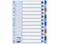 Divisore intercalare Esselte polipropilene A4 12 tasti 15262
