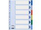 Divisore intercalare Esselte polipropilene A4 6 tasti 15260