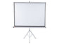 Schermo a treppiede 4:3 Nobo 175x132,5 cm 1902396