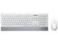 Set tastiera e mouse wireless Media Range serie highline QWERTZ, bianco/argento - MROS106