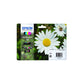 cartucce inkjet Margherite 18 Epson n+c+m+g Conf. 4 - C13T18064012