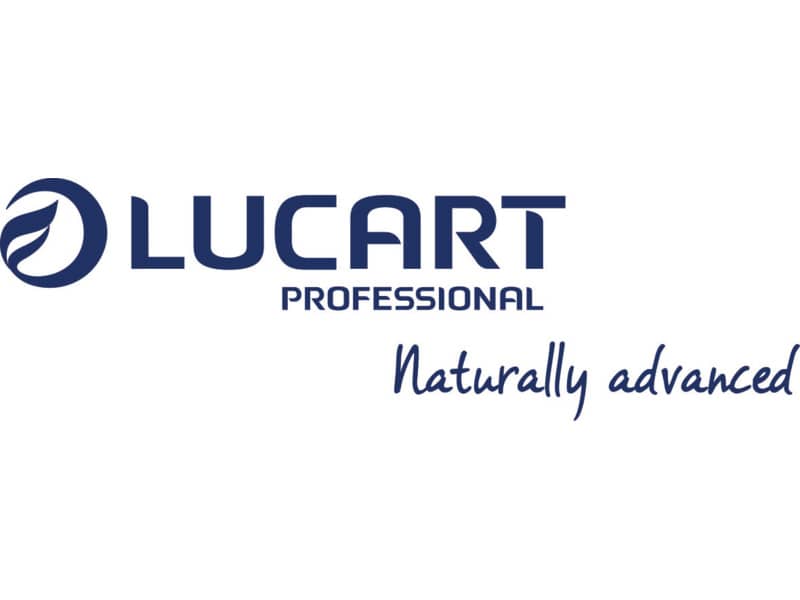 Bobina multiuso Lucart EcoNatural 800 - 200 m 2 veli avana - 2 rotoli da 800 strappi - 852218