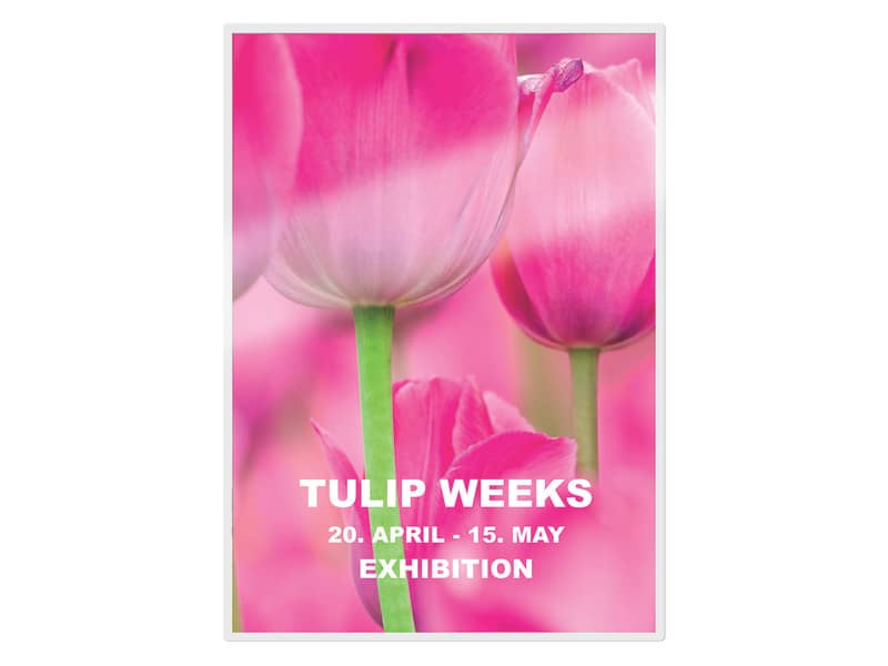 Pouches per plastificatrici Leitz iLam con UDT 2x125 µm in EVA A4 21,6x30,3 cm Conf. 100 pezzi - 74810000