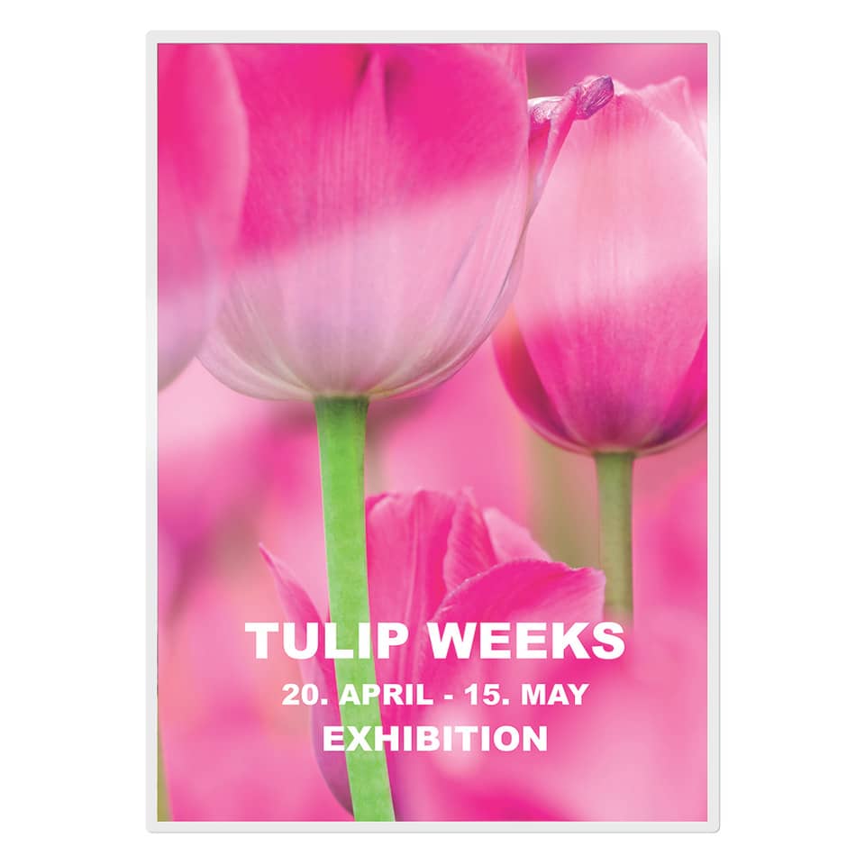 Pouches per plastificatrici Leitz iLam con UDT 2x125 µm in EVA A4 21,6x30,3 cm Conf. 100 pezzi - 74810000