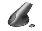 Mouse wireless ergonomico Trust Varo nero 22126