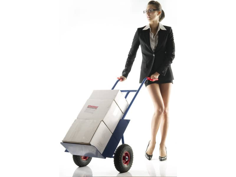 Carrello in acciaio Serena Group con doppio manico 57 x 46 x h. 116 cm blu portata 250 kg - HT250