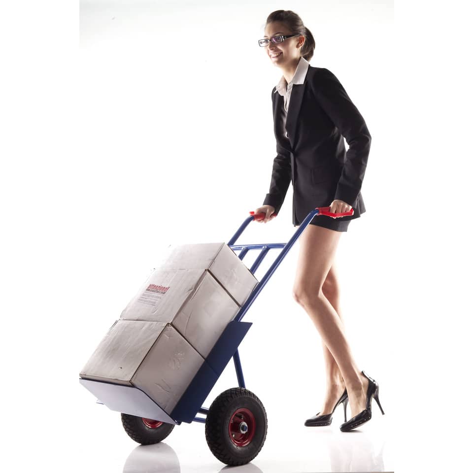 Carrello in acciaio Serena Group con doppio manico 57 x 46 x h. 116 cm blu portata 300 kg - HT300