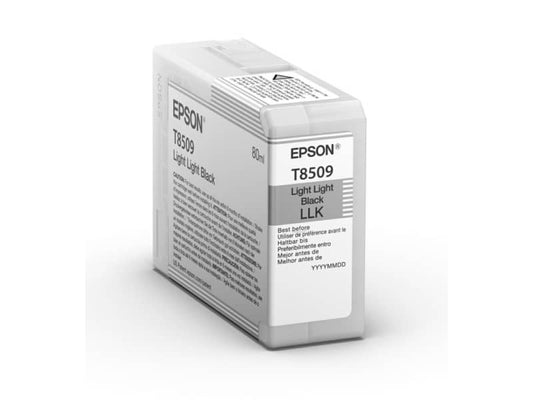 Cartuccia inkjet Epson nero chiaro  C13T850900