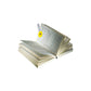 Cartuccia per plastificazione a freddo XYRON A4 23 cm x 7,5 m (80 micron) 23464