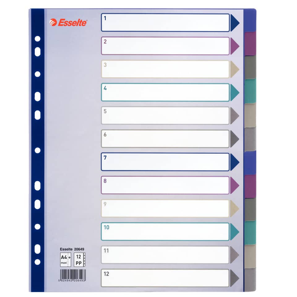 Divisore Esselte Intercalare 12 tasti A4 Maxi 20649