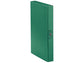 Cartelle portaprogetti Esselte C24 EUROBOX dorso 4 cm presspan biverniciato verde - 390324180