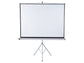 Schermo a treppiede 16:10 Nobo 175x115 cm 1902396W