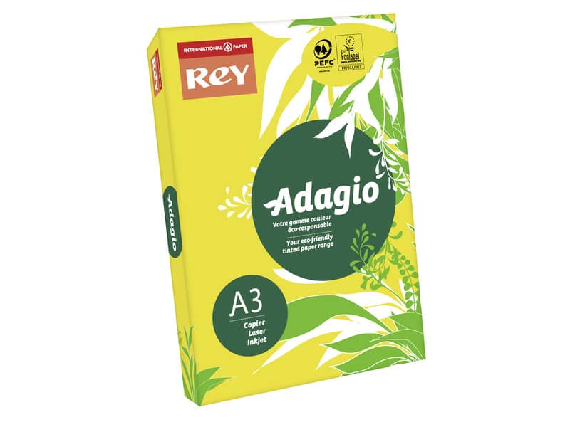 Carta colorata A3 International Paper Rey Adagio 160 g/m² giallo intenso 66 - Risma da 250 fogli - ADAGI160X502