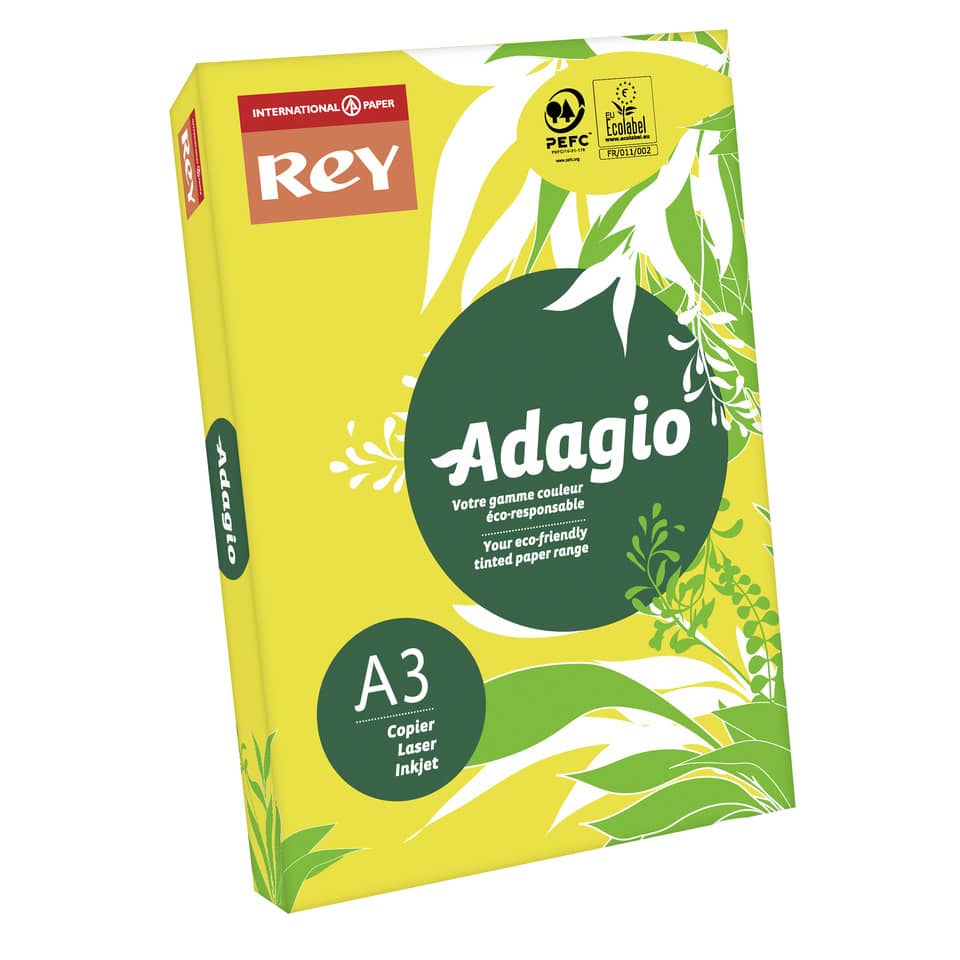 Carta colorata A3 International Paper Rey Adagio 160 g/m² giallo intenso 66 - Risma da 250 fogli - ADAGI160X502