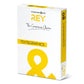 Carta per fotocopie A3 International Paper Rey Text & Graphics 170 CIE 160 g/m²  Risma 250 fogli - RYTEG160X426