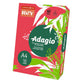 Carta colorata A4 International Paper Rey Adagio 160 g/m² rosso intenso 22 - Risma da 250 fogli - ADAGI160X462