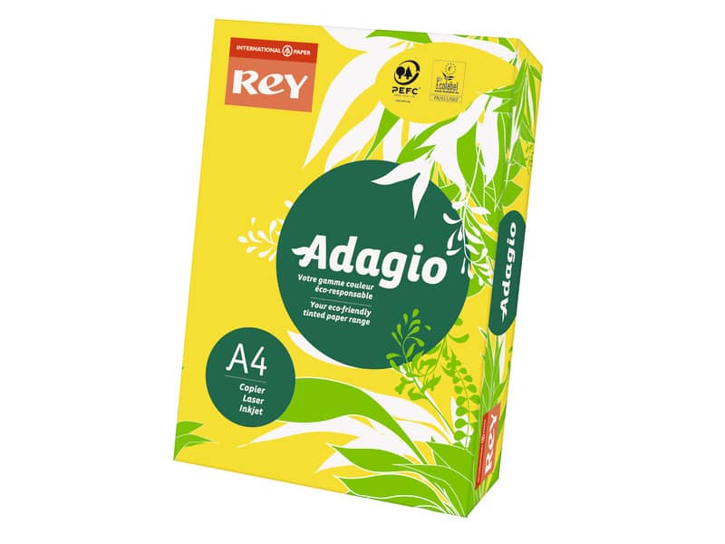 Carta colorata A4 International Paper Rey Adagio 80 g/m² giallo intenso 66 - Risma da 500 fogli - ADAGI080X636