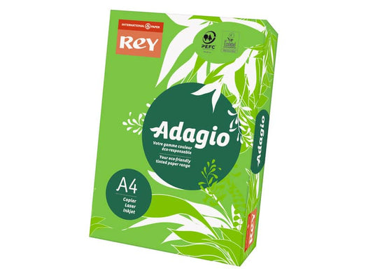 Carta colorata A4 International Paper Rey Adagio 160 g/m² verde intenso 52 - Risma da 250 fogli - ADAGI160X457