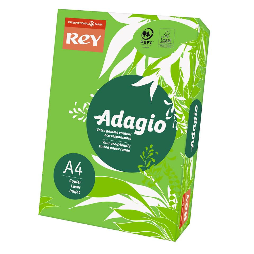 Carta colorata A4 International Paper Rey Adagio 160 g/m² verde intenso 52 - Risma da 250 fogli - ADAGI160X457