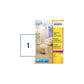 Etichette poliestere trasparenti lucide AVERY QuickPEEL™ 210x297 mm 25 fogli - L7784-25