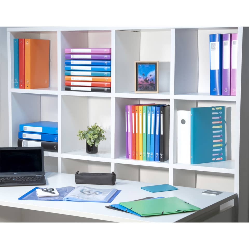 Raccoglitore ad anelli Exacompta LINEA OPACO 4 anelli Ø 30 mm ppl A4 MAXI 297x242 10 colori assortiti - 51699E