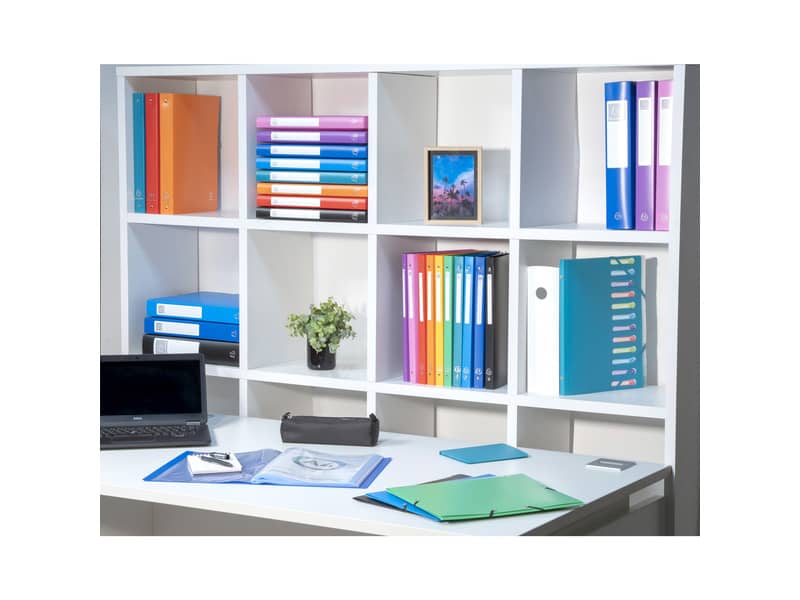 Raccoglitore ad anelli Exacompta LINEA OPACO 4 anelli Ø 30 mm ppl A4 MAXI 297x242 10 colori assortiti - 51699E
