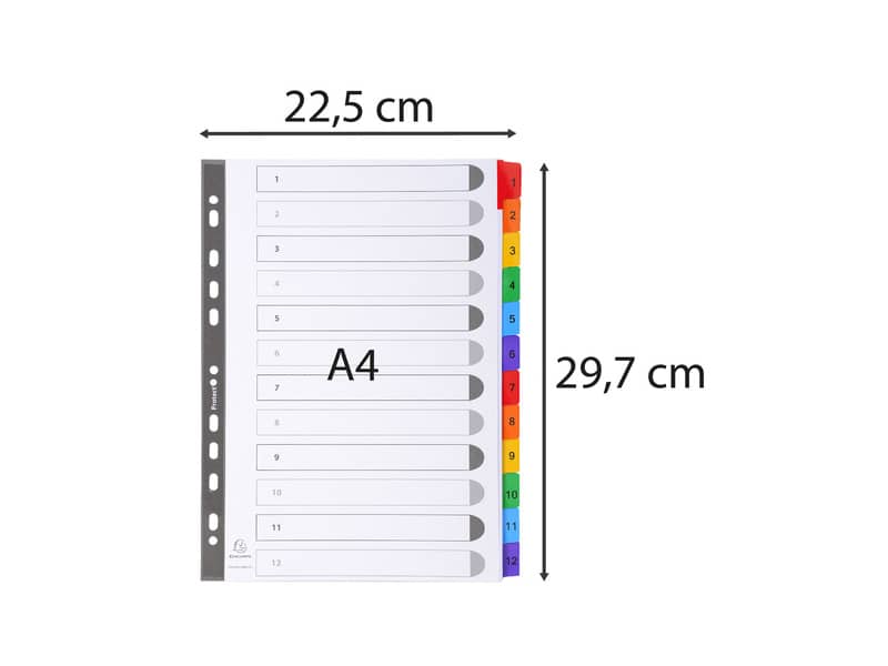 Intercalari stampati in digitale Exacompta Protect'o cartoncino A4 160g/mq 12 tasti da 1 a 12 - 1112E
