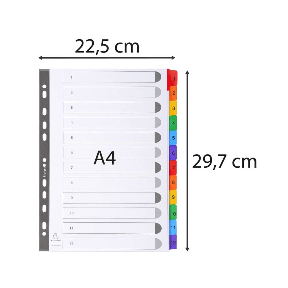 Intercalari stampati in digitale Exacompta Protect'o cartoncino A4 160g/mq 12 tasti da 1 a 12 - 1112E