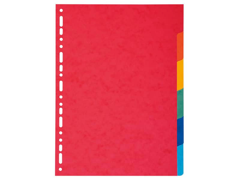 Intercalari in carta Exacompta 6 tasti colori vivaci cartoncino riciclato A4 220 g/mq - 2006E