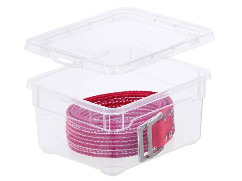Contenitore Rotho Clear Box in PPL 2 L impilabile 19x16x9 cm trasparente F707800