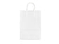 Sacchetti da regalo Rex-Sadoch Allegra tinta unita 22x10x27 cm bianco conf. da 25 - SDS22BIA