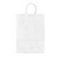 Sacchetti da regalo Rex-Sadoch Allegra tinta unita 22x10x27 cm bianco conf. da 25 - SDS22BIA