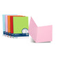 Cartellina semplice FAVINI FOLDER S cartoncino Simplex Luce&Acqua 200 g/m² 25x34cm mix 5 colori  conf. 50 - A50X664