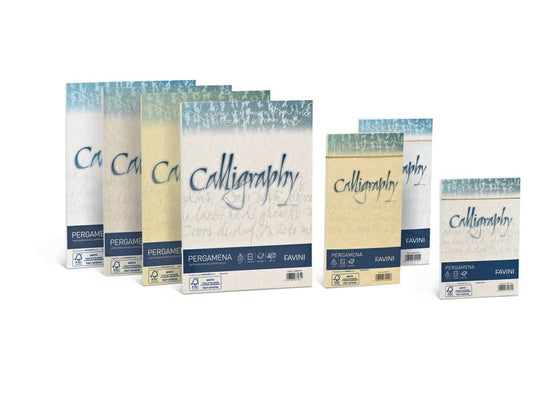 Carta pergamena FAVINI Calligraphy per lettere da stampare, finitura liscia 90 g/m² A4 naturale 06  50 fogli - A69Q204