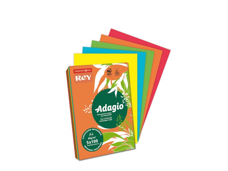 Carta colorata A4 International Paper Rey Adagio 80 g/m² colori forti - Risma da 500 fogli - ADAGI080X909