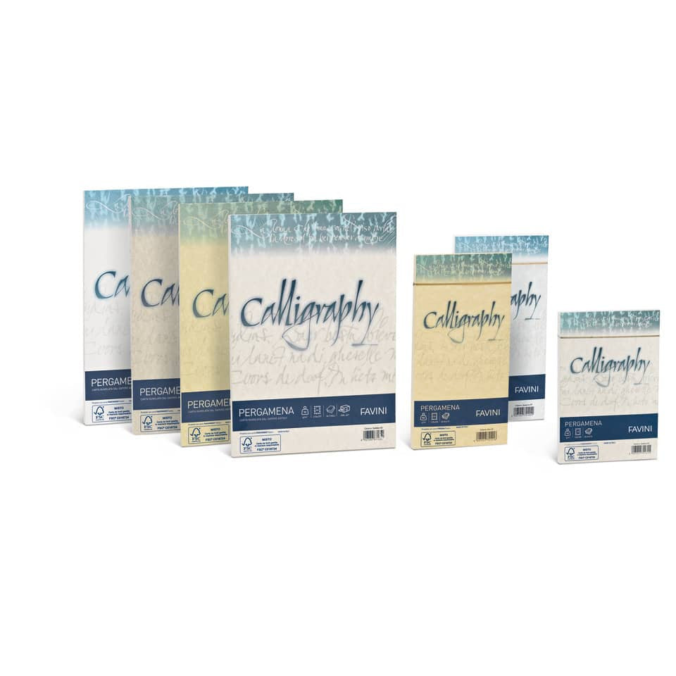 Carta pergamena FAVINI Calligraphy per lettere da stampare, finitura liscia 90 g/m² A4 crema 05  50 fogli - A692204