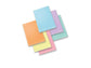 Quaderno 42 fogli PIGNA Monocromo Pastel A4 a righe 1R assortiti 02298901R