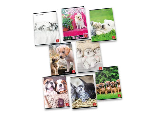Quaderno 42 fogli PIGNA Dolci Cuccioli A4 a quadretti 10mm assortiti 023112410