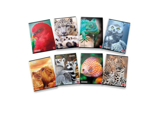 Quaderno 42 fogli PIGNA Animal A4 a righe 0A con margine assortiti 02311190A