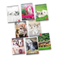 Quaderno 42 fogli PIGNA Dolci Cuccioli A4 a righe 0B con margine assortiti 02311240B