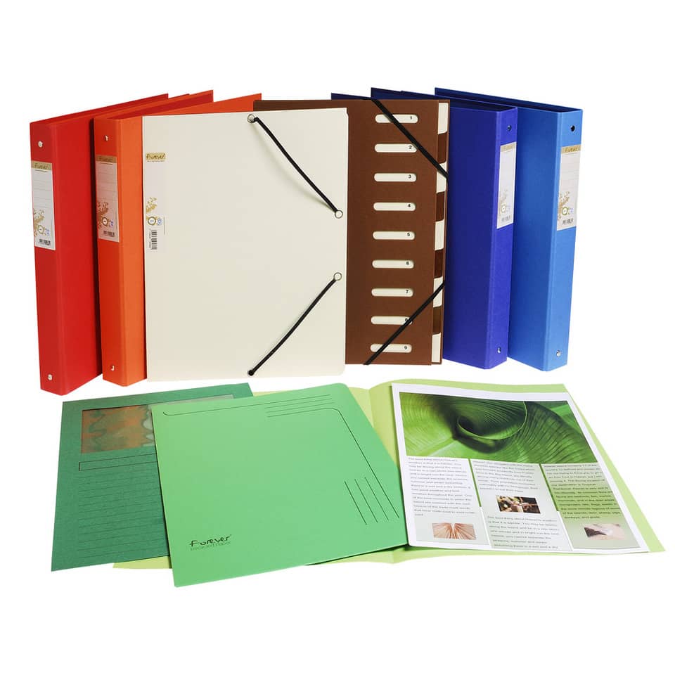 Cartelline con finestra Exacompta Forever® A4 cartoncino 120 g/m² arancio conf. da 100 - 50104E