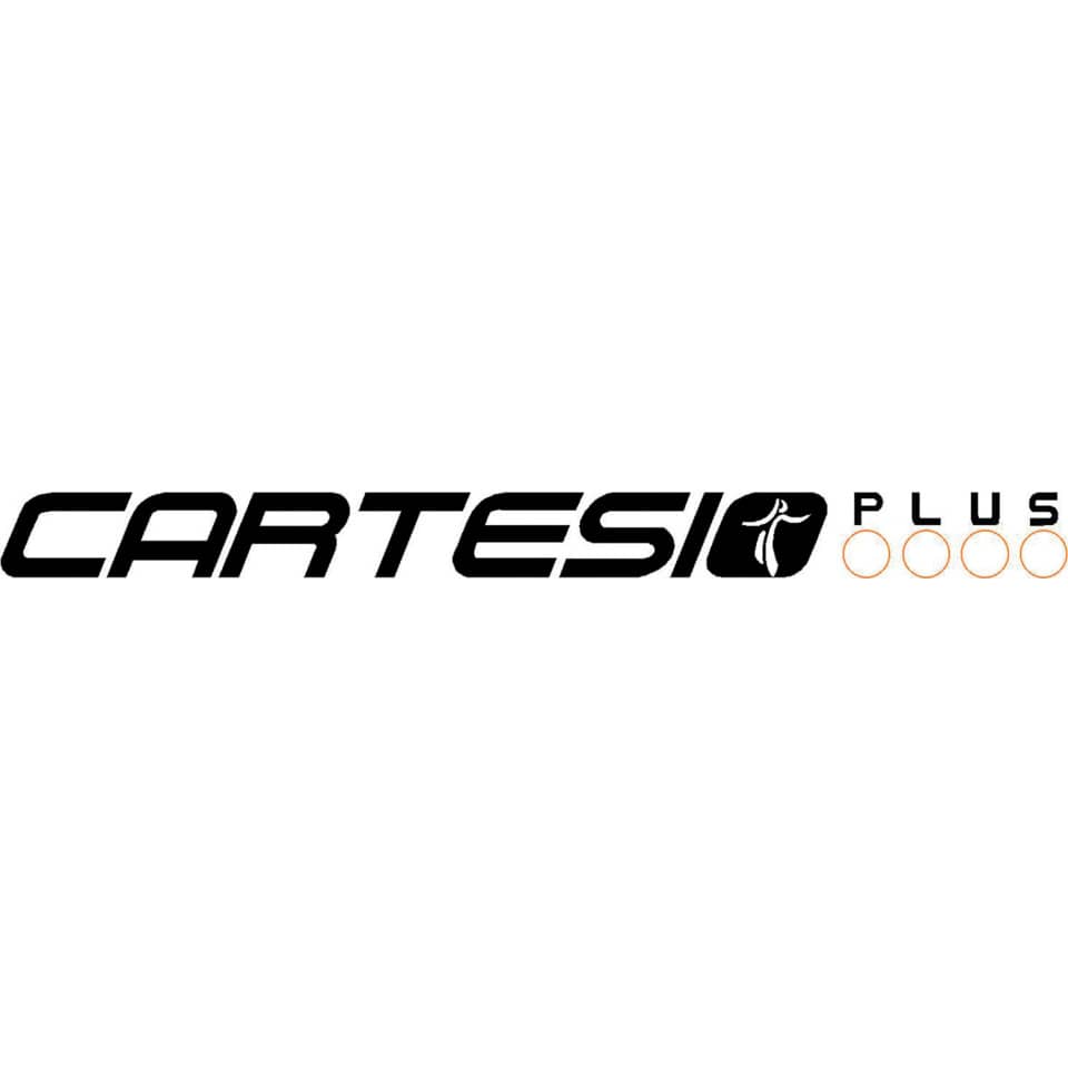 Cartelle sospese laterali per armadi CARTESIO PLUS 33 cm fondo a V arancio Cf. 25 pezzi - 314 M Link -A2