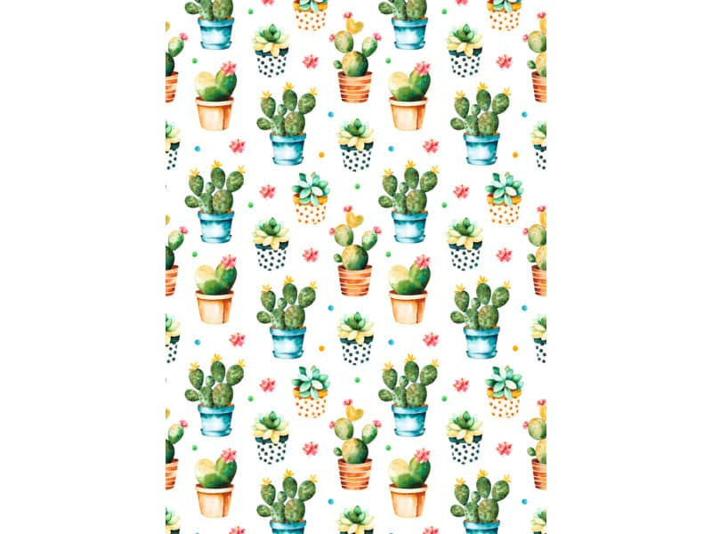 Carta da regalo Kartos Everyday 70x100 cm mod. Vasi di Piante Grasse Conf. 10 fogli - 18866600B10